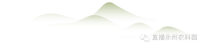 http://www.mysanhe.com/upfiles/article/20170223124847174717.png